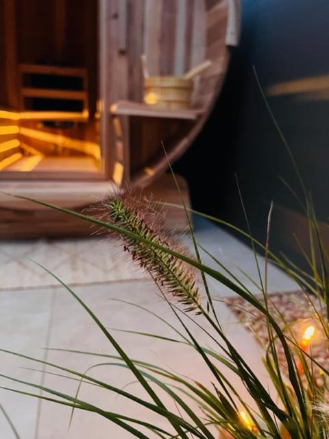 Charley'S Wellness Suite Westkapelle Ngoại thất bức ảnh